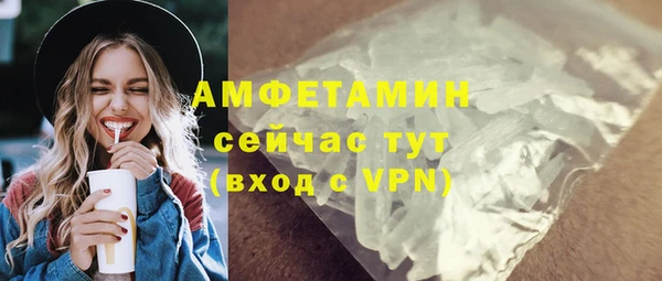тгк Бородино