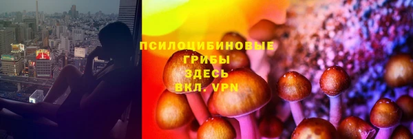 бошки Бронницы