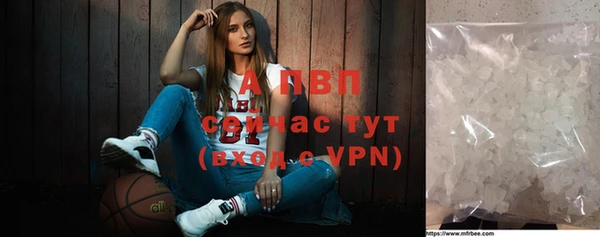 тгк Бородино