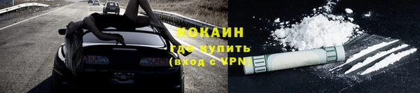 тгк Бородино