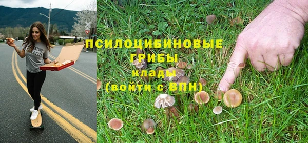 тгк Бородино