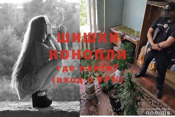 бошки Бронницы