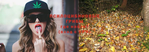 тгк Бородино