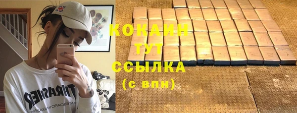 бошки Бронницы