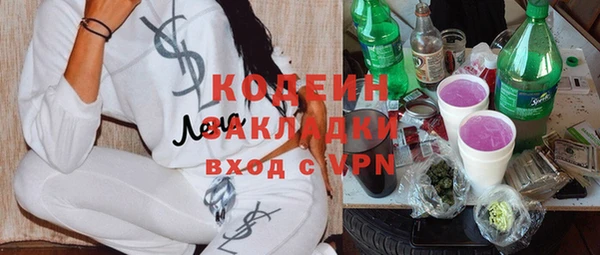 тгк Бородино