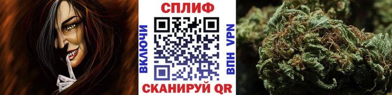 Марихуана сатива  Купить где  Лангепас 